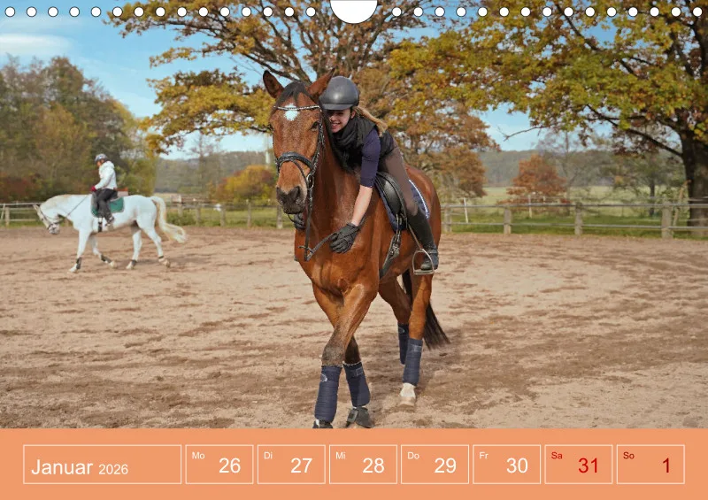 2026 A4 Faszination Reitsport - Wochenkalender