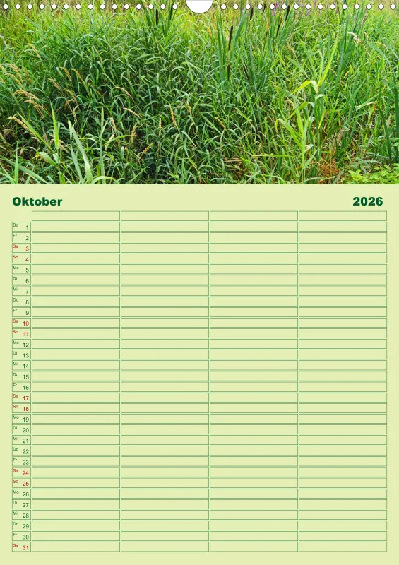 2026 A3 Planer Farbzauber Natur - Grün