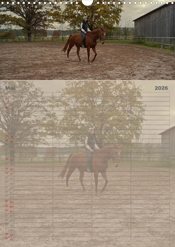 2026 A3 Faszination Reitsport - Familienplaner