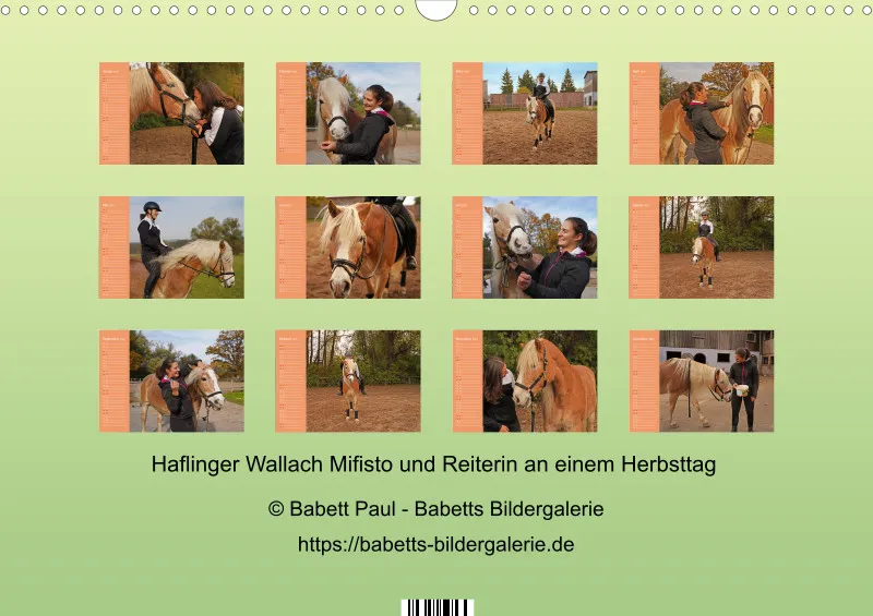 2027 A3 Haflinger Mifisto und Reiterin