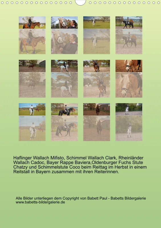 2026 A3 Faszination Reitsport - Familienplaner