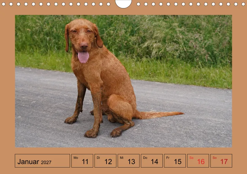 2027 A4 Wochenkalender Faszination Magyar Vizsla