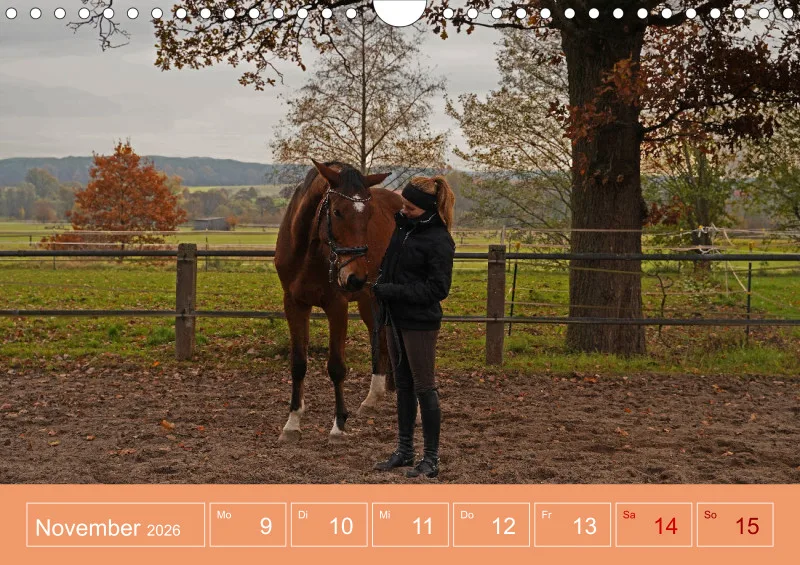 2026 A4 Faszination Reitsport - Wochenkalender