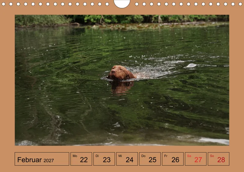 2027 A4 Wochenkalender Faszination Magyar Vizsla