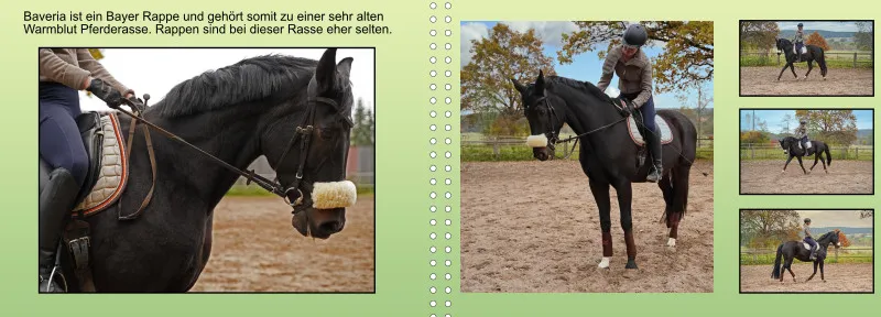 Fotoalbum A4 - Faszination Reitsport