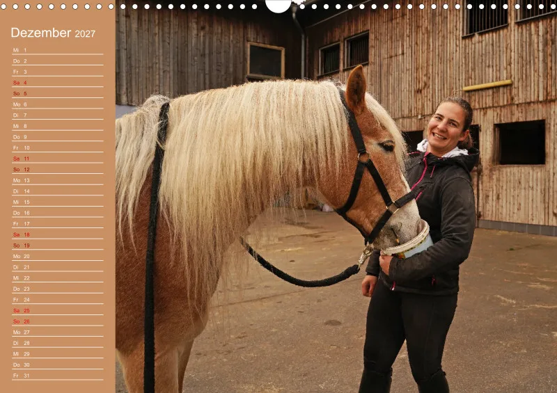 2027 Planer A3 Faszination Haflinger