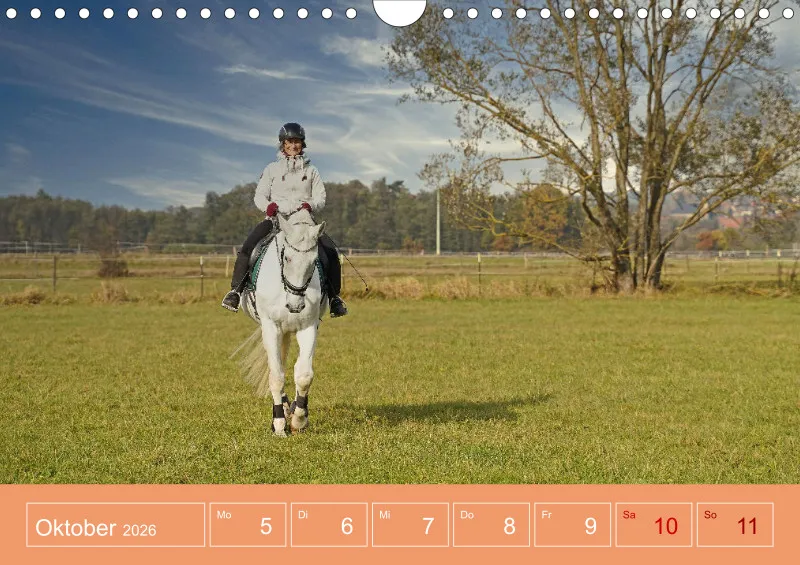 2026 A4 Faszination Reitsport - Wochenkalender