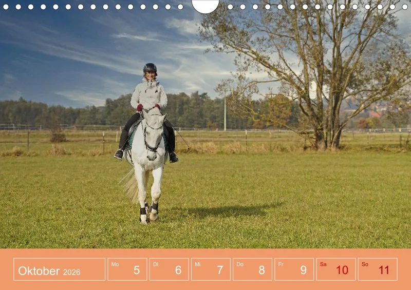 2026 A4 Faszination Reitsport - Wochenkalender
