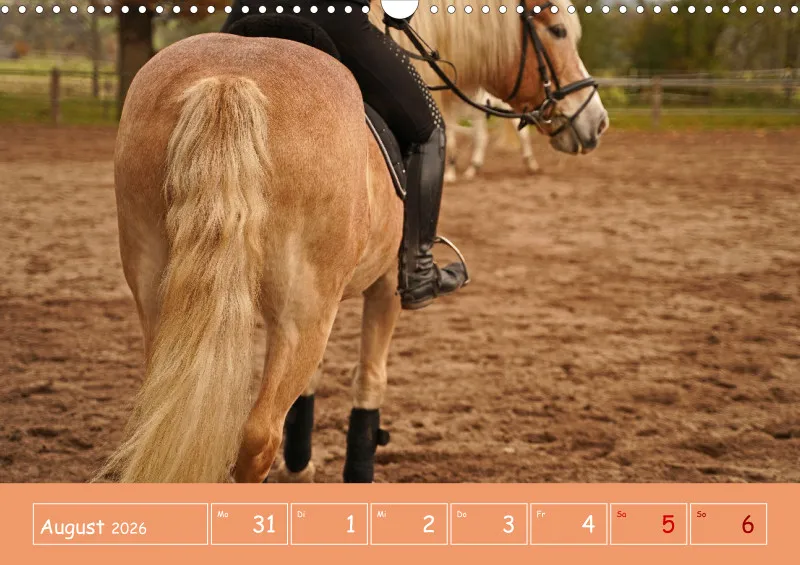 2026 A3 Faszination Reitsport - Wochenkalender