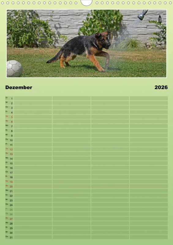 2026 A3 Familienplaner Schäferhündin