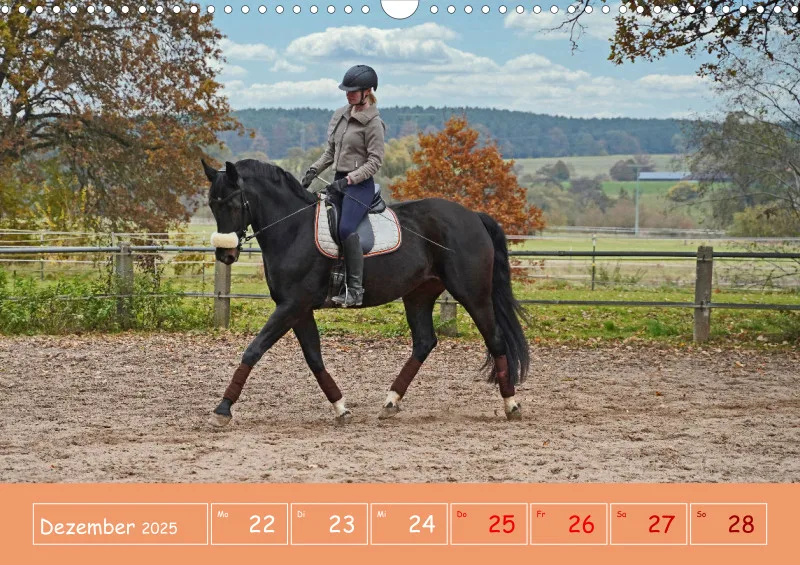 2025 A3 Faszination Reitsport - Wochenkalender
