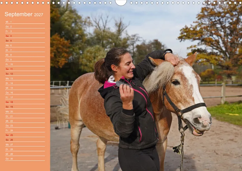 2027 A3 Planer Haflinger Mifisto und Reiterin