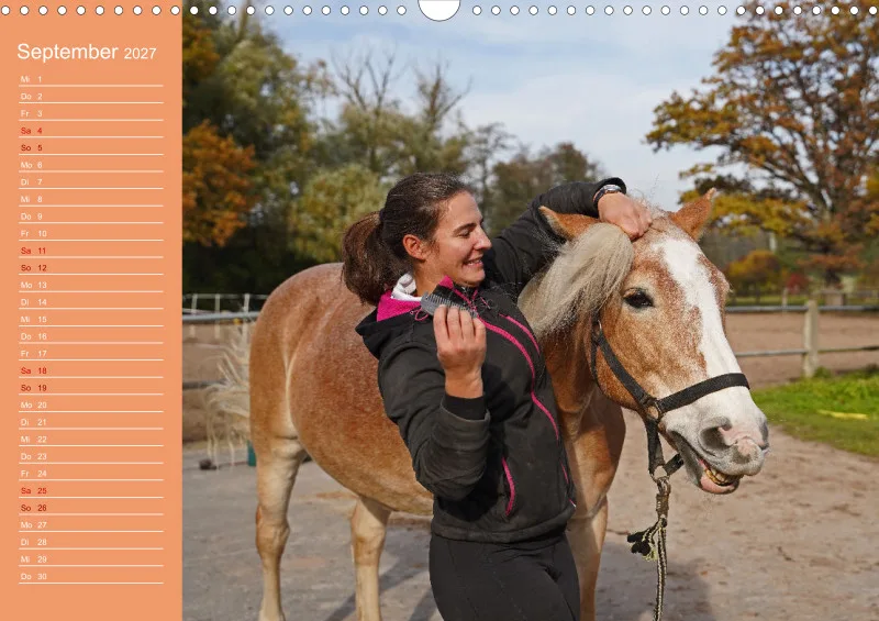 2027 A3 Planer Haflinger Mifisto und Reiterin