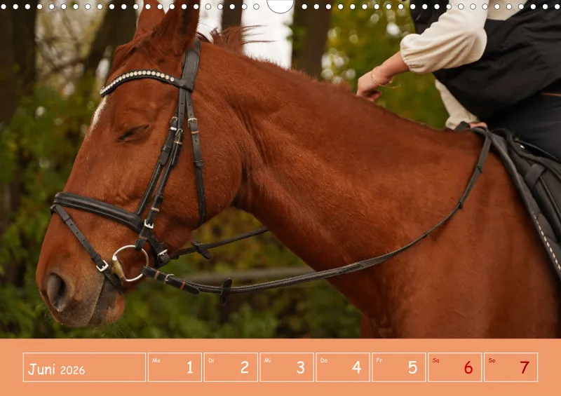 2026 A3 Faszination Reitsport - Wochenkalender