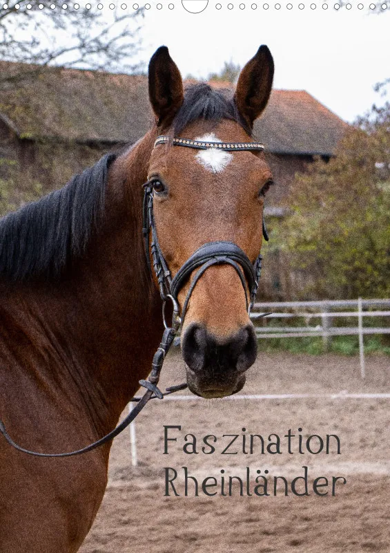 2027 A3 Hoch - Faszination Rheinländer