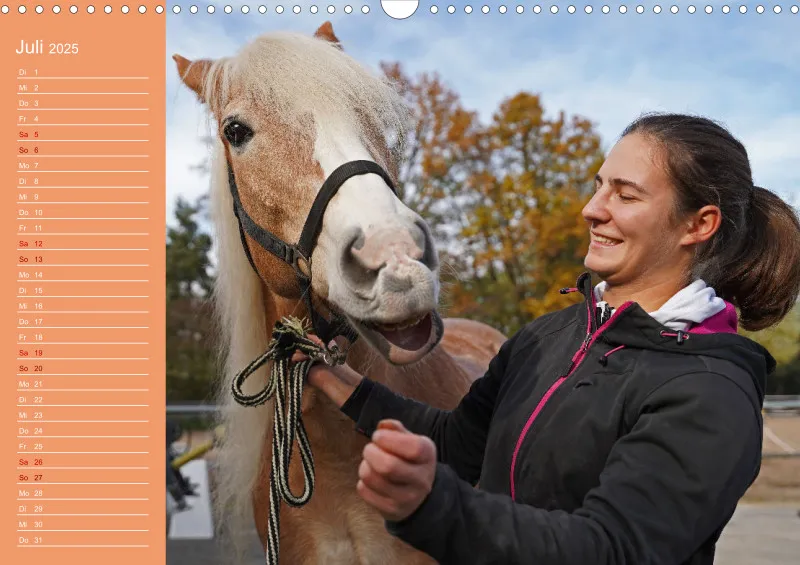 2025 A3 Haflinger Mifisto und Reiterin