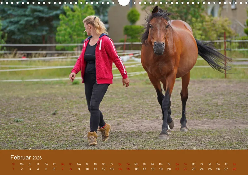 2026 A3 Faszination Trakehner