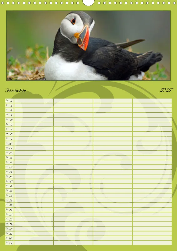 2025 A3 Papageitaucher-Kleine Vögel im Frack!