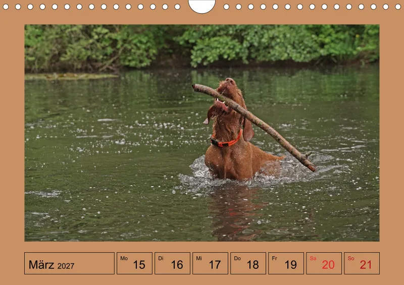 2027 A4 Wochenkalender Faszination Magyar Vizsla