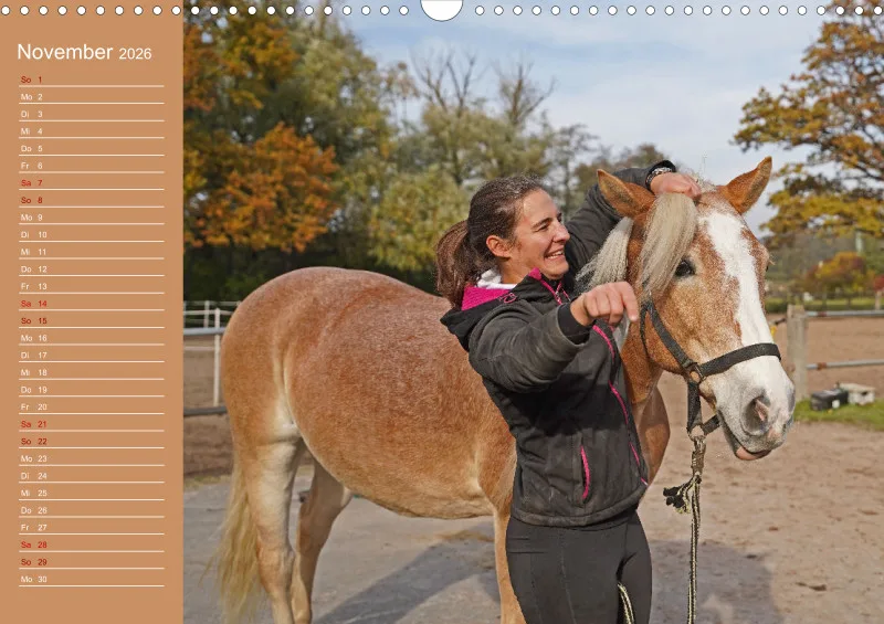 2026 A3 Faszination Haflinger