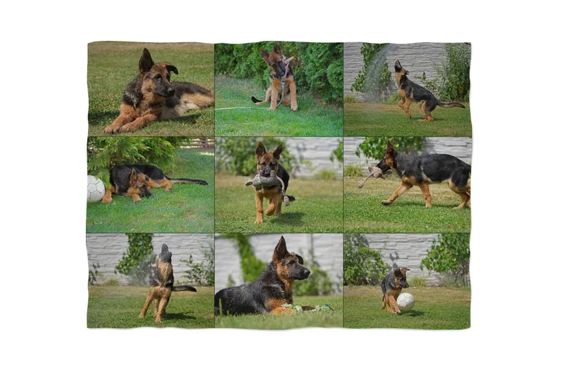 Fleecedecke Schäferhund 180x135
