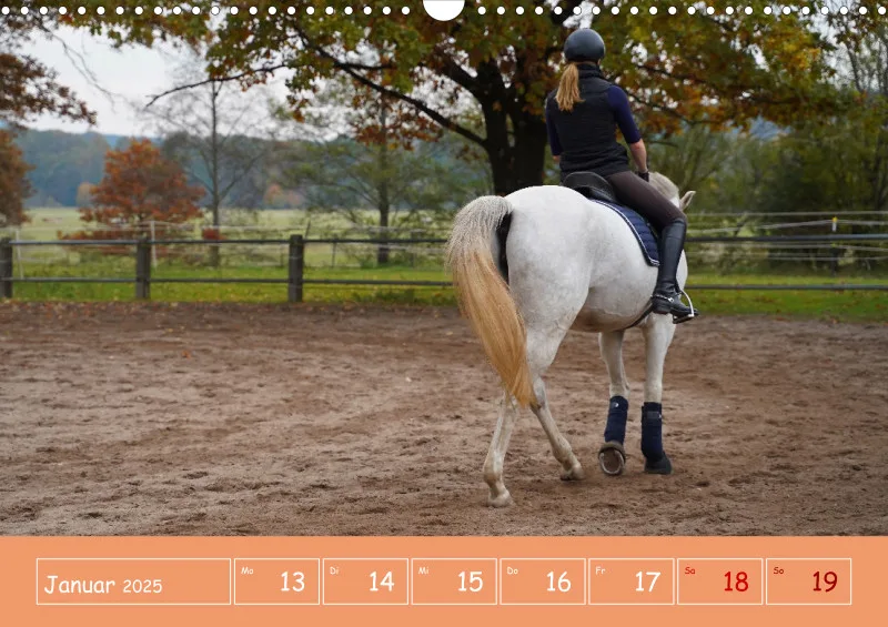 2025 A3 Faszination Reitsport - Wochenkalender