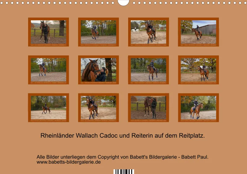 2027 A3 - Faszination Rheinländer