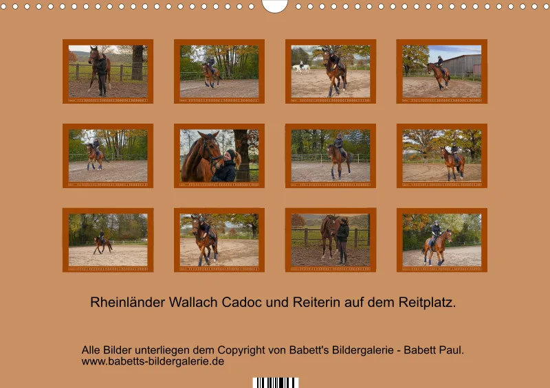 2027 A3 - Faszination Rheinländer