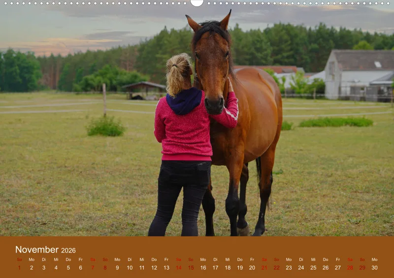 2026 A2 Faszination Trakehner