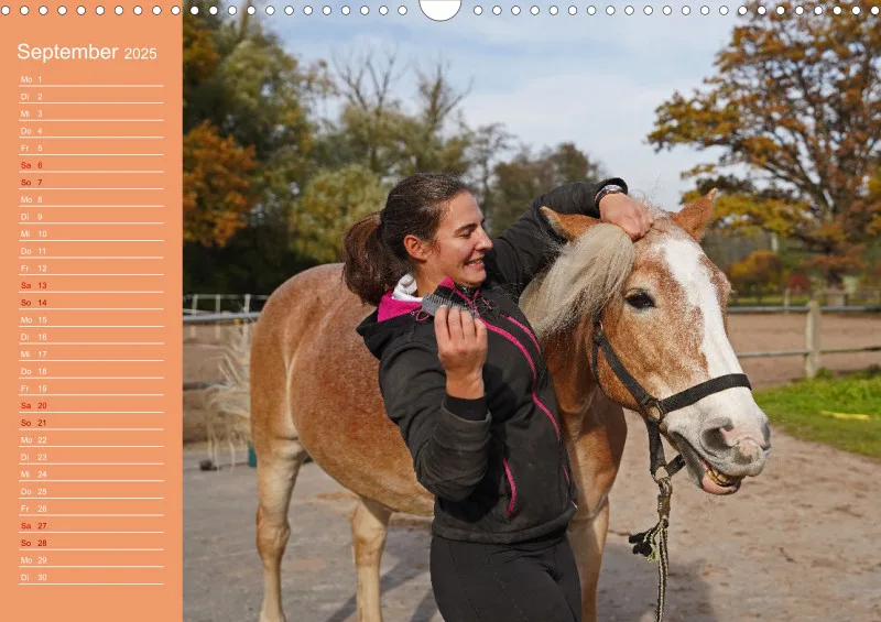 2025 A3 Haflinger Mifisto und Reiterin