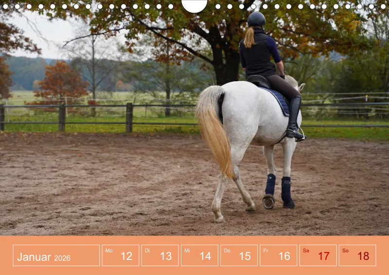2026 A4 Faszination Reitsport - Wochenkalender