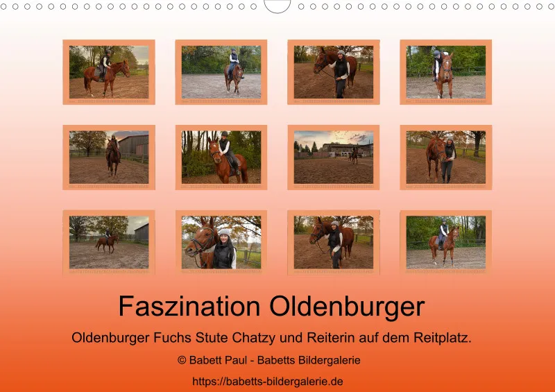 2026 A3 - Faszination Oldenburger