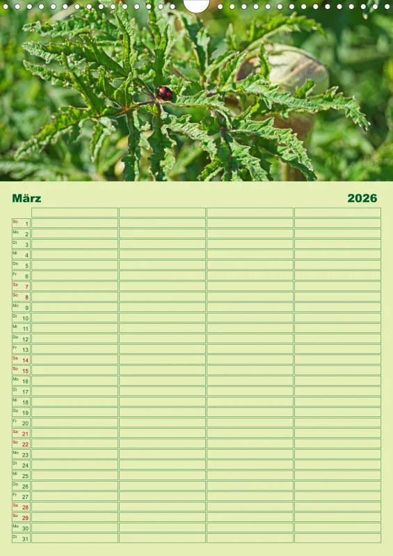 2026 A3 Planer Farbzauber Natur - Grün