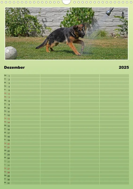 2025 A3 Familienplaner Schäferhündin