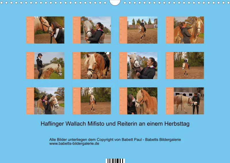 2027 A3 Planer Haflinger Mifisto und Reiterin