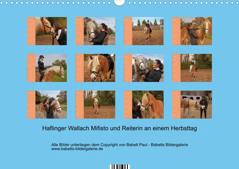 2027 A3 Planer Haflinger Mifisto und Reiterin