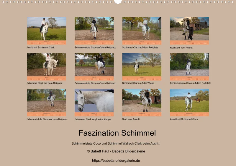 2026 A2 Faszination Schimmel