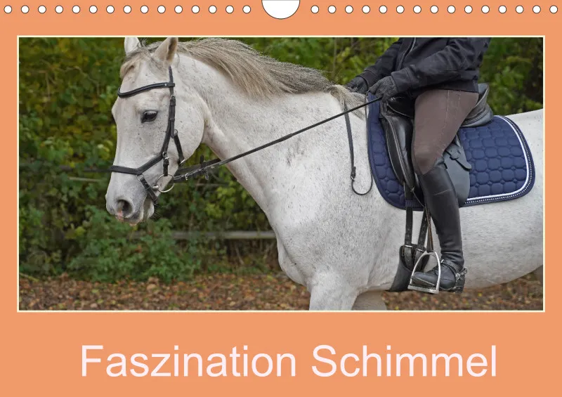 2026 A4 Faszination Schimmel