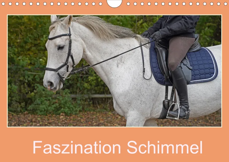 2026 A4 Faszination Schimmel