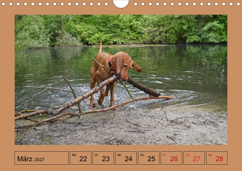 2027 A4 Wochenkalender Faszination Magyar Vizsla