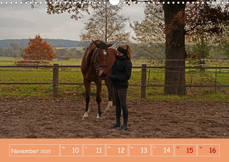 2025 A3 Faszination Reitsport - Wochenkalender