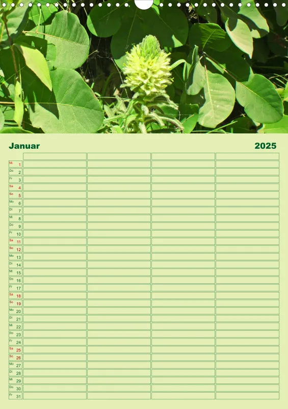 2025 A3 Planer Farbzauber Natur - Grün