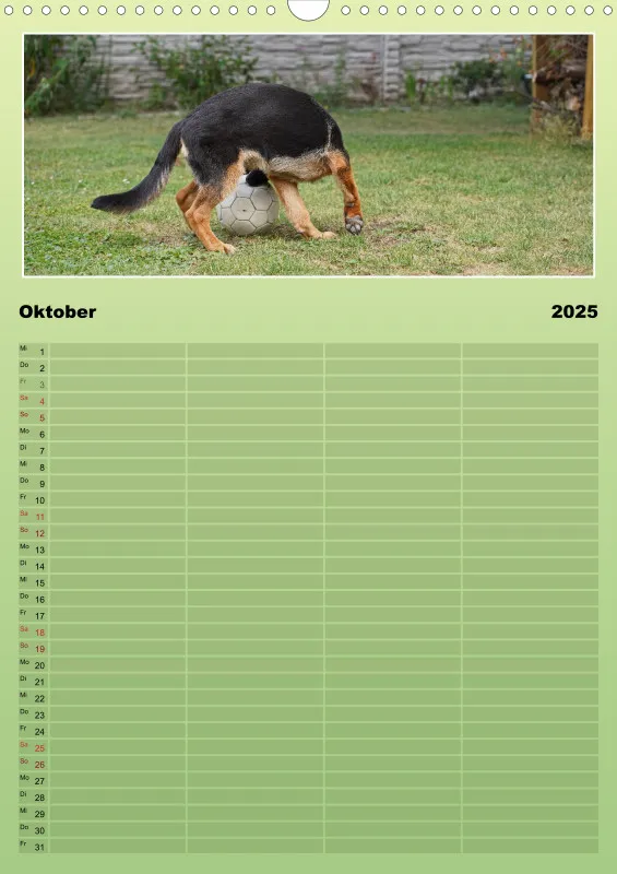 2025 A3 Familienplaner Schäferhündin