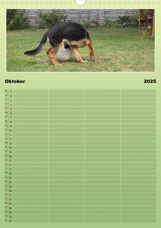 2025 A3 Familienplaner Schäferhündin