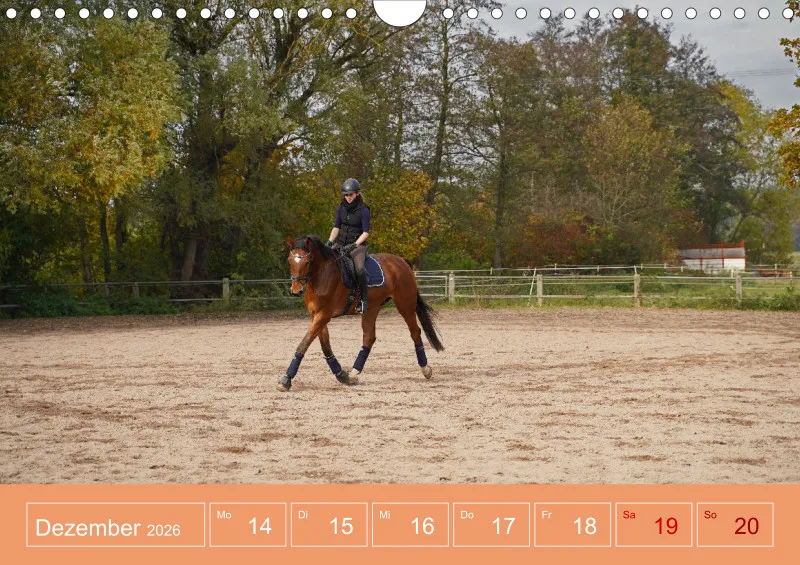 2026 A4 Faszination Reitsport - Wochenkalender