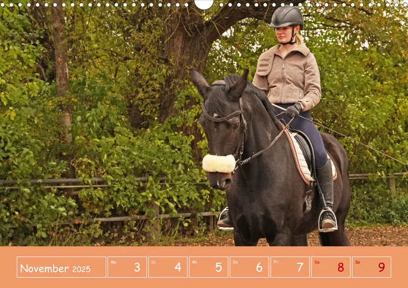 2025 A3 Faszination Reitsport - Wochenkalender