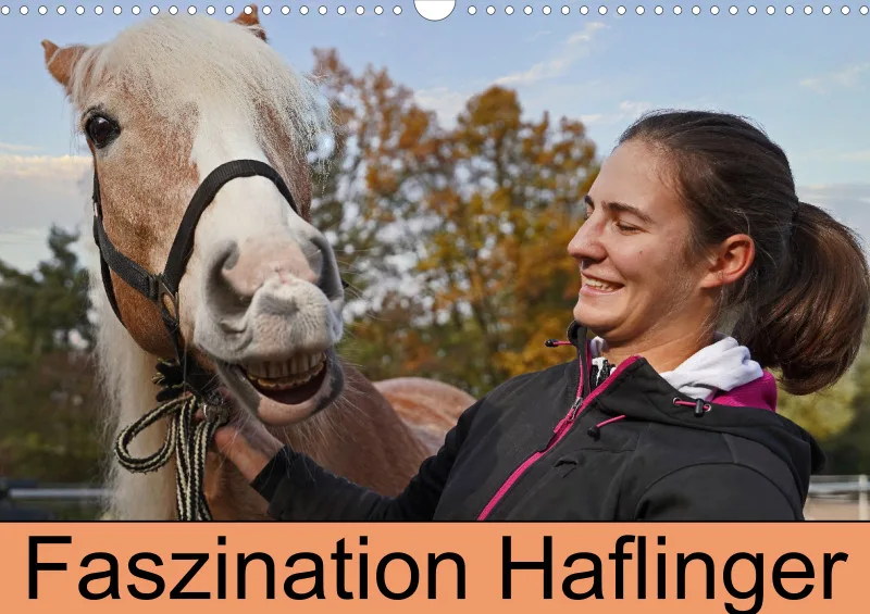 2026 A3 Planer Haflinger Mifisto und Reiterin