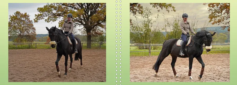 Fotoalbum A4 - Faszination Reitsport