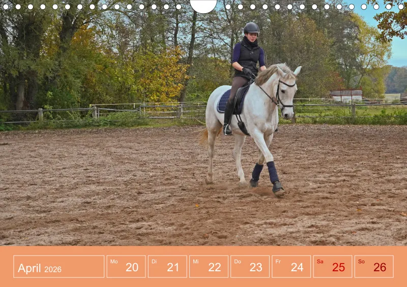 2026 A4 Faszination Reitsport - Wochenkalender