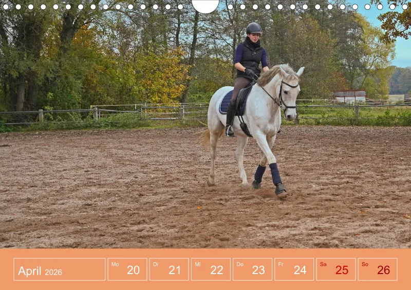 2026 A4 Faszination Reitsport - Wochenkalender